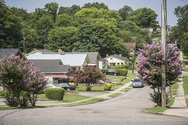 Photo showing street of houses in Fairfield