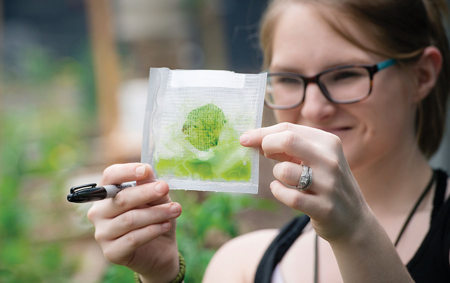 Photo of student Madison Lathem with a plant test kit