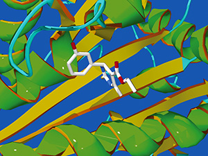 Nuclear magnetic resonance image