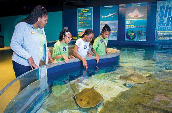 Photo of Kristen Bates with students at shark tank