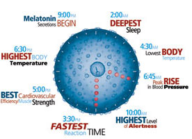 magf10cellclocksmrev