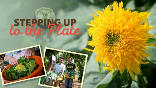 Collage of photos of students at Jones Valley Teaching Farm