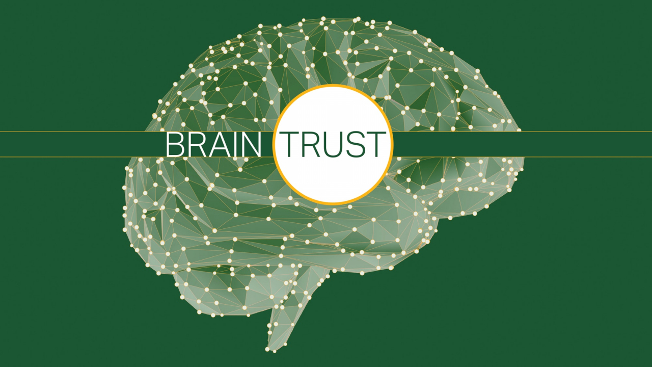 Brain Trust Info Graphic